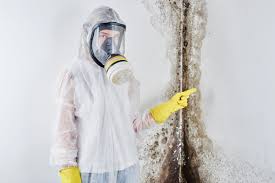 Why You Should Choose Our Mold Remediation Services in Newport, AR